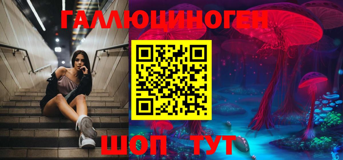 Карачаевск  магазин продажи наркотиков  Галлюциногенные грибы MAGIC MUSHROOMS  Вход с VPN  Псилоцибиновые грибы мицелий 
