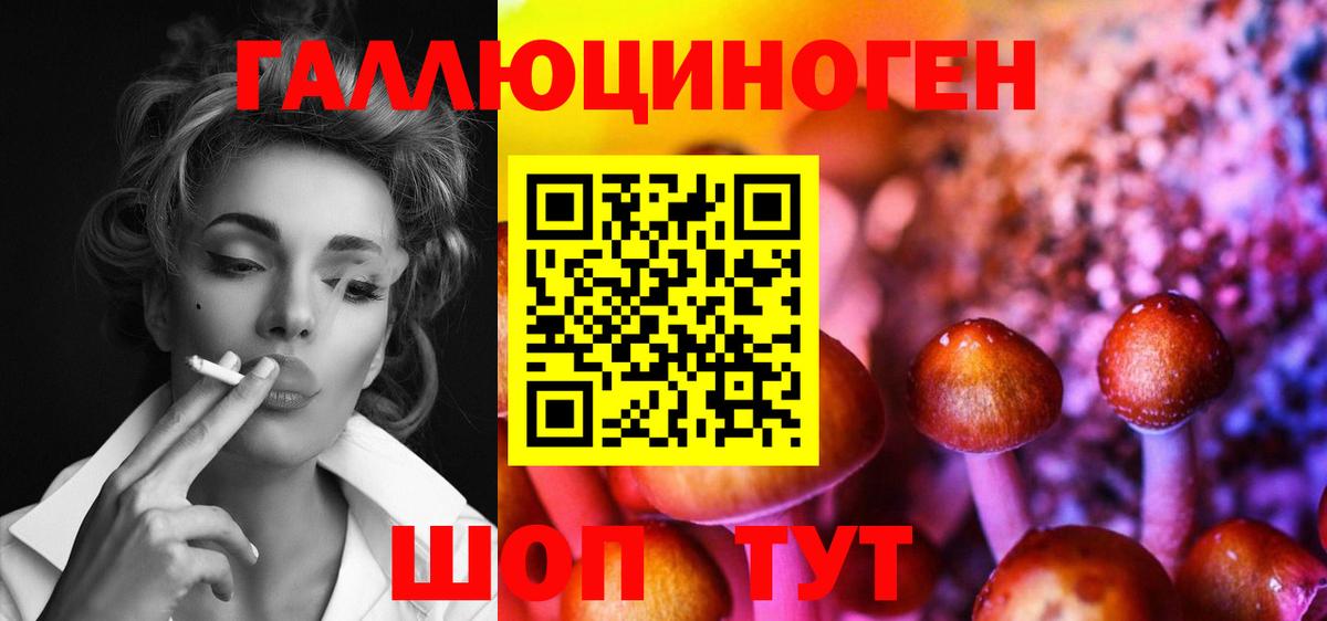 Галлюциногенные грибы прущие грибы Карачаевск